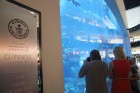 Travelnews.lv redakcija apmeklē pasaules lielāko iepirkšanās centru Dubai Mall, kur izvietojies milzīgs akvārijs. Foto sponsors: www.goadventure.lv 4