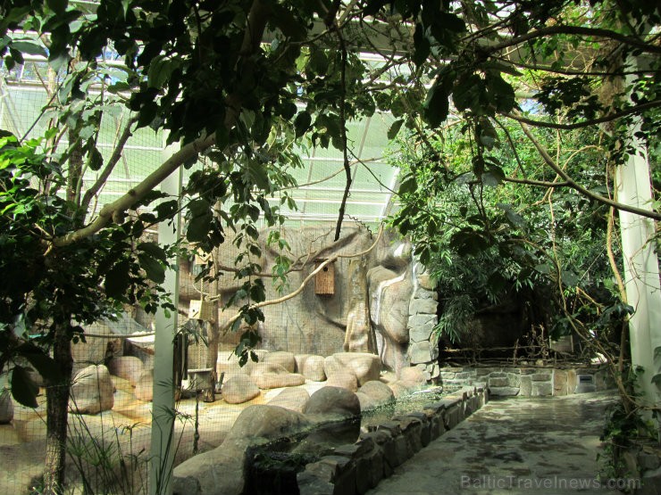 Kristiansannas Zooloģiskais dārzs un Atrakciju parks ir viena no populārākajām tūristu piesaistēm Norvēģijā, uzņemot vairāk nekā 700 000 apmeklētāju g Kristiansannas Zooloģiskais dārzs un Atrakciju parks ir viena no populārākajām tūristu piesaistēm Norvēģijā, uzņemot vairāk nekā 700 000 apmeklētāju g 95808
