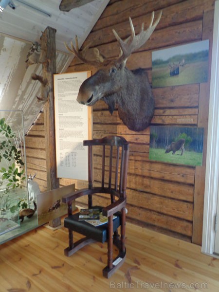 Muzejā var iepazīties ar Igaunijas kultūru, dabu un dzīvniekiem 95947