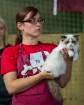 8. un 9.jūnijā vairāk nekā 230 skaisti sapucētu kaķu pulcējās Saulkrastos, lai piedalītos starptautiskajā kaķu izstādē 4