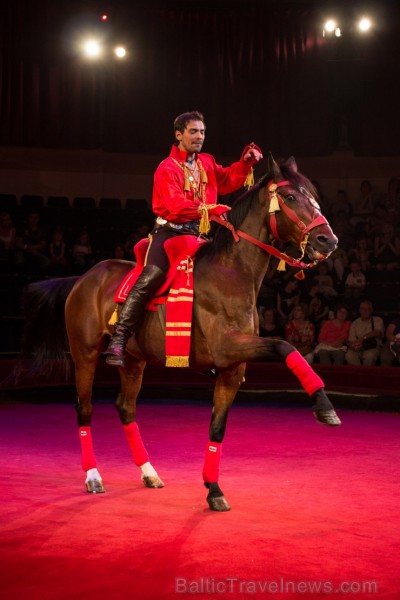 Izrādes laikā var redzēt kaislīgu čigānu deju zirga mugurā www.cirks.lv 96414