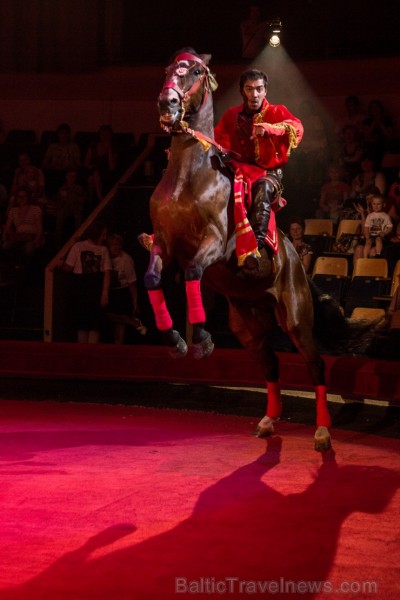 Izrādes laikā var redzēt kaislīgu čigānu deju zirga mugurā www.cirks.lv 96415