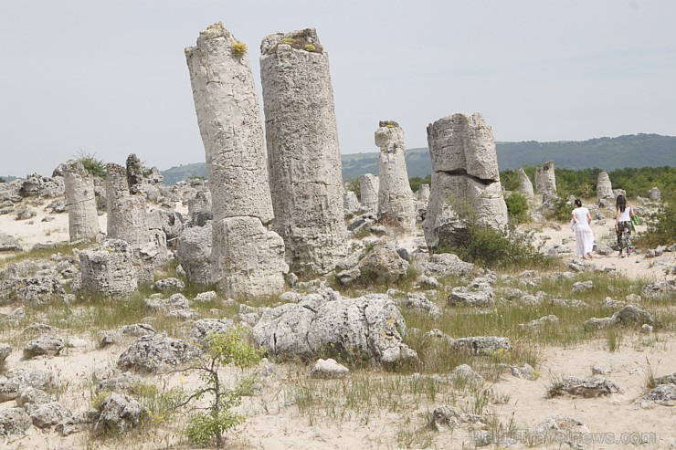18 km attālumā no Varnas atrodas akmeņu mežu «Probiti Kamni», kas ir unikāls, jo līdzīgas vietas nav nekur uz pasaules. Ģeoloģi nav spējuši līdz 100%  96348
