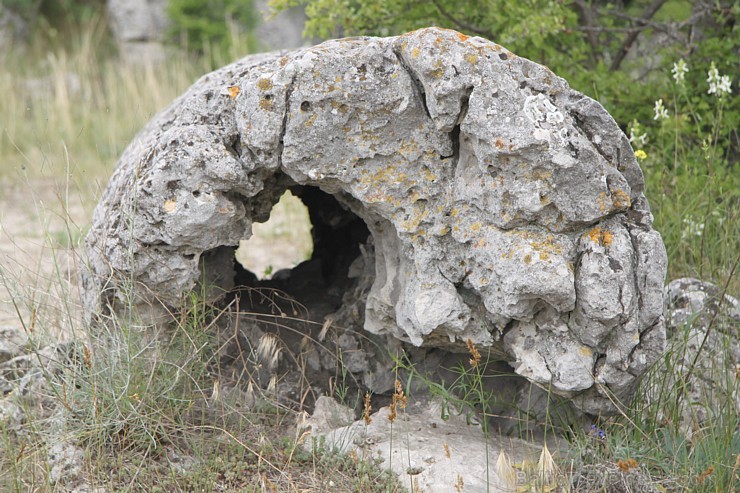 Travelnews.lv apmeklē noslēpumaino akmeņu mežu «Probiti Kamni» Bulgārijā. Foto sponsors - www.goadventure.lv 96352