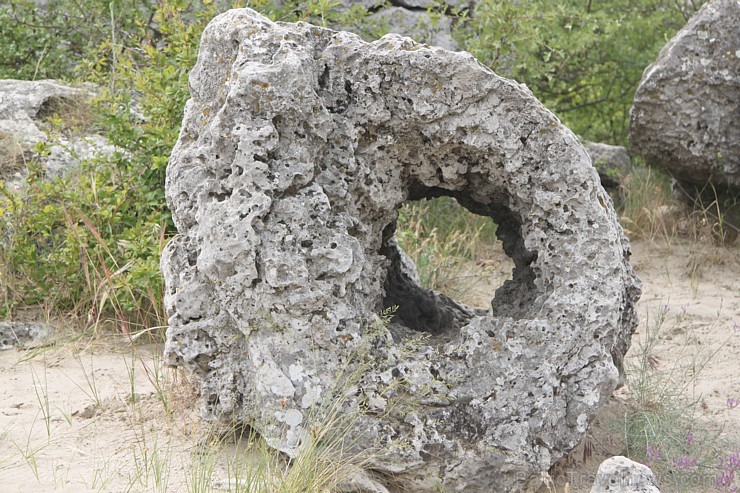 Travelnews.lv apmeklē noslēpumaino akmeņu mežu «Probiti Kamni» Bulgārijā. Foto sponsors - www.goadventure.lv 96361