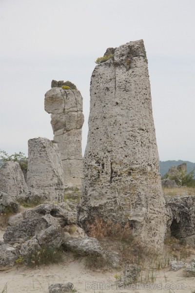 Travelnews.lv apmeklē noslēpumaino akmeņu mežu «Probiti Kamni» Bulgārijā. Foto sponsors - www.goadventure.lv 96370