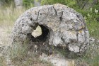 Travelnews.lv apmeklē noslēpumaino akmeņu mežu «Probiti Kamni» Bulgārijā. Foto sponsors - www.goadventure.lv 5