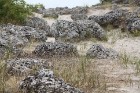 Travelnews.lv apmeklē noslēpumaino akmeņu mežu «Probiti Kamni» Bulgārijā. Foto sponsors - www.goadventure.lv 12