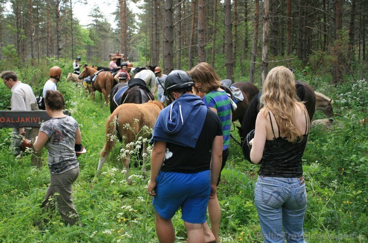 Travelnews.lv kopā ar citiem žurnālistiem un tūrisma profesionāļiem no Latvijas, Igaunijas un Zviedrijas dodas vairāku stundu izjādē ar zirgiem, apska 96883