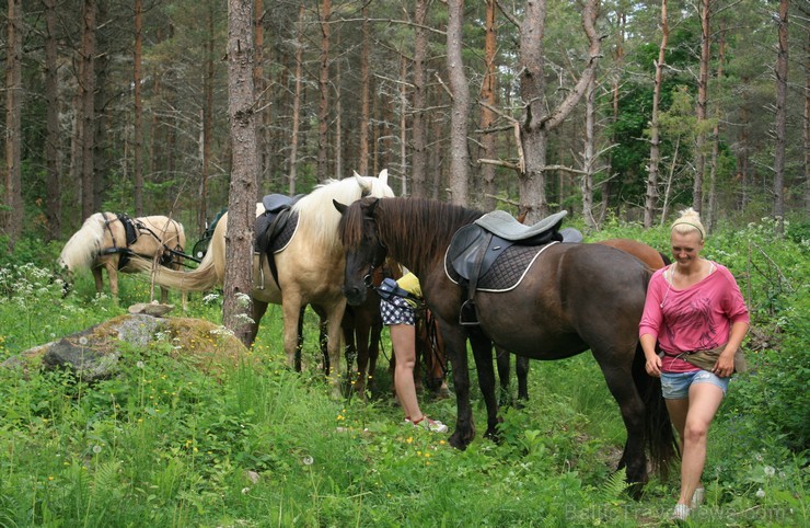 Viena no pieturas vietām, zirgi atpūšas, bet ceļotāji dodas apskatīt svētvietas. 96884