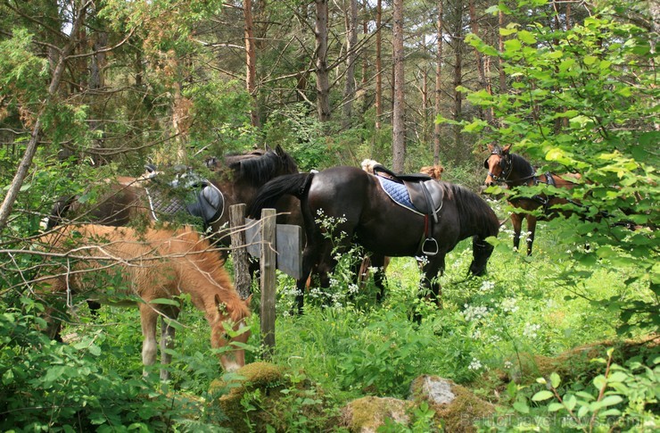 Viena no pieturas vietām, zirgi atpūšas, bet ceļotāji dodas apskatīt svētvietas. 96887