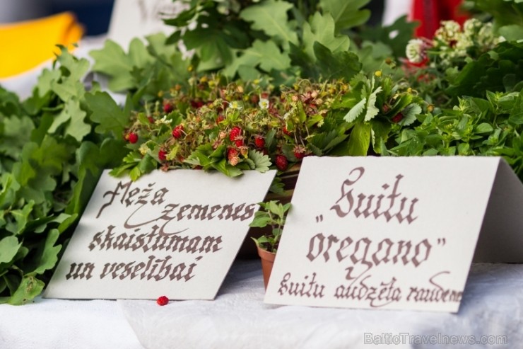 Tirdziņā varēja iegādāties zemnieku un amatnieku izstrādājumus, pašbrūvētu alu, mājās ceptu maizi, raušus, sierus un daudz citu gardumu svētkiem, kā a Tirdziņā varēja iegādāties zemnieku un amatnieku izstrādājumus, pašbrūvētu alu, mājās ceptu maizi, raušus, sierus un daudz citu gardumu svētkiem, kā a 97053