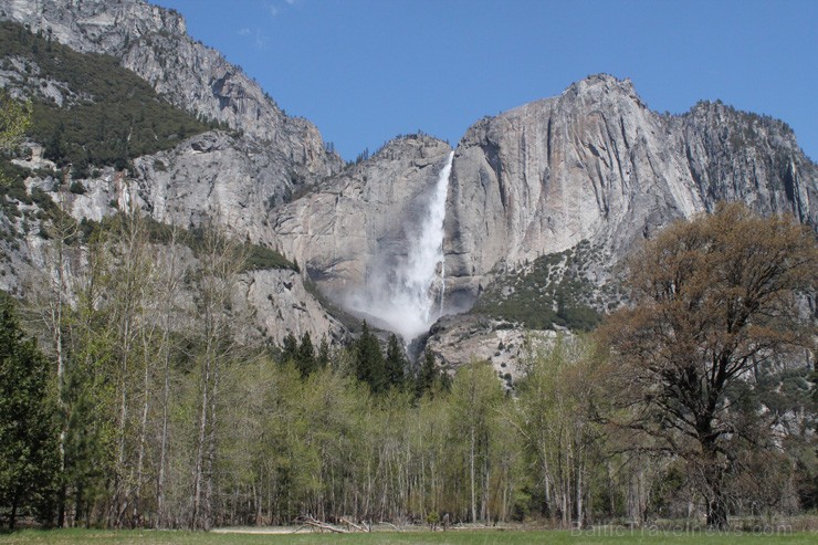Yosemite nacionālais parks. 2013. gada pavasarī Travel Time devās grupu braucienā uz ASV Rietumu krastu un Havaju salām. Foto: www.traveltime.lv 97174