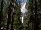 Yosemite nacionālais parks. 2013. gada pavasarī Travel Time devās grupu braucienā uz ASV Rietumu krastu un Havaju salām. Foto: www.traveltime.lv 2