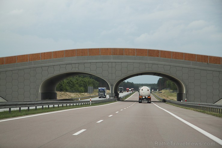 Polijas maksas autostrāde no Varšavas līdz Berlīnei. Dzīvnieku tilts virs autostrādes. Foto sponsors: www.sixt.lv 97538