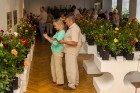 Dabas muzejā var aplūkot aptuveni 100 dažādas Latvijas apstākļiem piemērotas rožu šķirnes 2