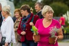 Rožu dienas Salaspils botāniskajā dārzā pulcē tūkstošiem interesentu 23