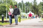 Rožu dienas Salaspils botāniskajā dārzā pulcē tūkstošiem interesentu 25