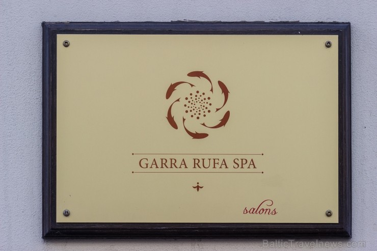 Vīlandes ielā 1 atrodas arī Garra Rufa SPA, kuri pirmie Latvijā piedāvā īpašu pakalpojumu veidu - zivju SPA Vīlandes ielā 1 atrodas arī Garra Rufa SPA, kuri pirmie Latvijā piedāvā īpašu pakalpojumu veidu - zivju SPA 100691