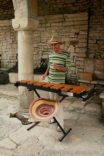 Bulgārijas ainavas ir daudzveidīgas un pilnas pārsteigumu: melnās jūras piekrastes, mežonīgu kalnu grēdas un gleznainas aizas.
www.novatours.lv 101034