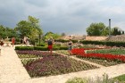 Balčika dārzs ir kādreizējās Rumānijas karalines Marijas vasaras rezidences, tajā atrodas arī botāniskais dārzs,  kurā ir vairāk nekā 3000 augu veidu. 7