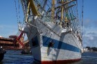Starptautiskās burukuģu un jahtu regates The Tall Ships Races 2013 dalībnieki pirms došanās uz Rīgu ieradās Ventspilī, kur tos varēja apskatīt Ostas i 37