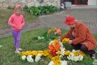 Līvānu pilsētas svētku ietvaros iedzīvotāji izveidojuši krāsainus ornamentus no ziediem. Foto: www.livani.lv 4