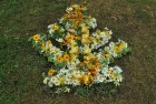 Līvānu pilsētas svētku ietvaros iedzīvotāji izveidojuši krāsainus ornamentus no ziediem. Foto: www.livani.lv 7