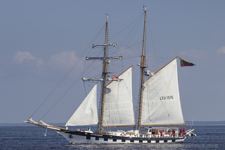 Ar buru parādi noslēdzas regates «The Tall Ships Races 2013» Rīgas posms 101821