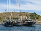 Egejas jūra ir pievilcīga, pie viesnīcām un speciālās peldvietās var tajā brīvi peldēties, zivju un citu jūras iemītnieku bagātība svaiga nonāk vietēj 15
