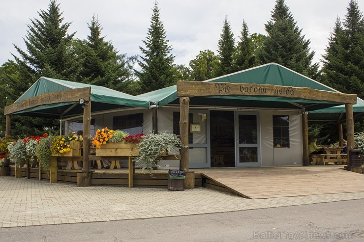 Vasarā muzeja teritorijā darbojas sezonas kafejnīca, kurā iespējams pasūtīt gan karstos ēdienus, gan atspirdzināties ar saldējumu, sulām 102611