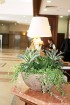 Melia Grand Hermitage ir viena no populārākajām luksus klases viesnīcām Bulgārijas kūrortā Zelta smiltis
Foto sponsors: www.novatours.lv 5