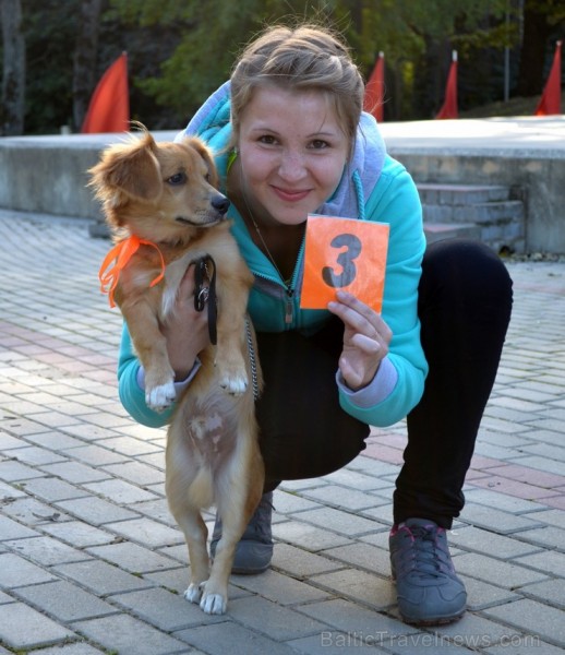 Vasaras izskaņā, 24. augustā, Krāslavas pilsētas estrādi pārņēma svētku noskaņa. Un ne velti! Jo te notika otrais Rudo saiets. Foto: www.visitkraslava Vasaras izskaņā, 24. augustā, Krāslavas pilsētas estrādi pārņēma svētku noskaņa. Un ne velti! Jo te notika otrais Rudo saiets. Foto: www.visitkraslava 104292