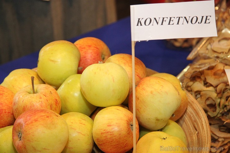 Plašākā pārtikas izstāde Baltijas valstīs «Riga Food 2013» norisināsies līdz 7. septembrim starptautiskajā izstāžu centrā Ķīpsalā. Vairāk informācijas Plašākā pārtikas izstāde Baltijas valstīs «Riga Food 2013» norisināsies līdz 7. septembrim starptautiskajā izstāžu centrā Ķīpsalā. Vairāk informācijas 104720