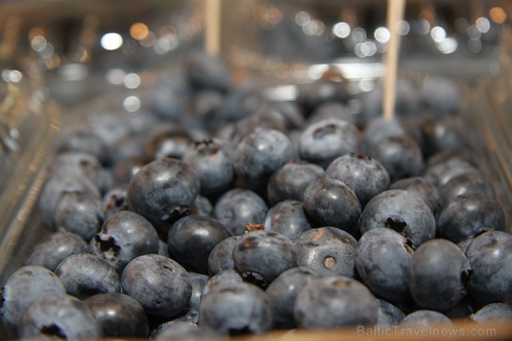 Plašākā pārtikas izstāde Baltijas valstīs «Riga Food 2013» norisināsies līdz 7. septembrim starptautiskajā izstāžu centrā Ķīpsalā. Vairāk informācijas Plašākā pārtikas izstāde Baltijas valstīs «Riga Food 2013» norisināsies līdz 7. septembrim starptautiskajā izstāžu centrā Ķīpsalā. Vairāk informācijas 104734