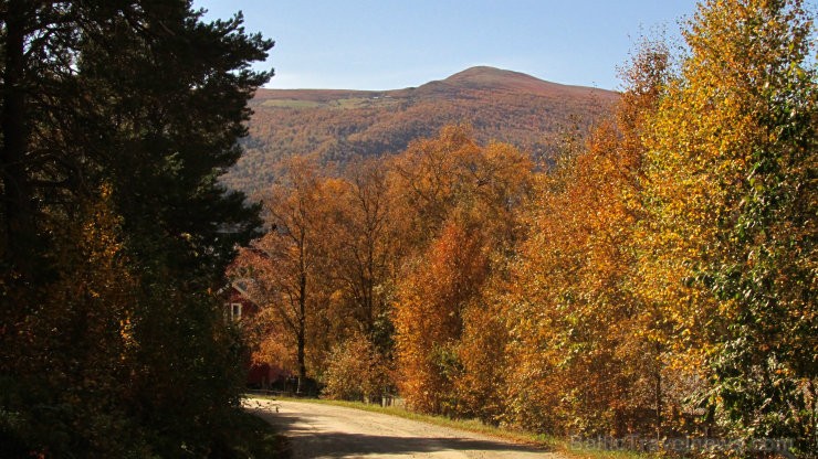 Agrs rudens ir lielisks laiks, lai dotos uz Dovres kalniem izbaudīt krāsainās ainavas. 105484
