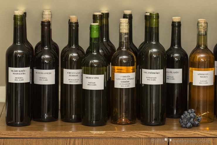 Dabas muzejā ir apskatāmas vīnogas un degustējami Latvijas labākie vīni 105578