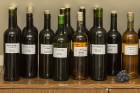 Dabas muzejā ir apskatāmas vīnogas un degustējami Latvijas labākie vīni 13