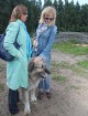 «Lauku ceļotājs» iepazīstina tūristus ar lauku saimniecības «Līcīši» (www.licisi.lv) mājdzīvniekiem un gardumiem 15