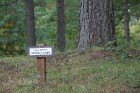 Dendroloģiskais parks Lazdukalns Ogrē - www.LatvijasCentrs.lv 25