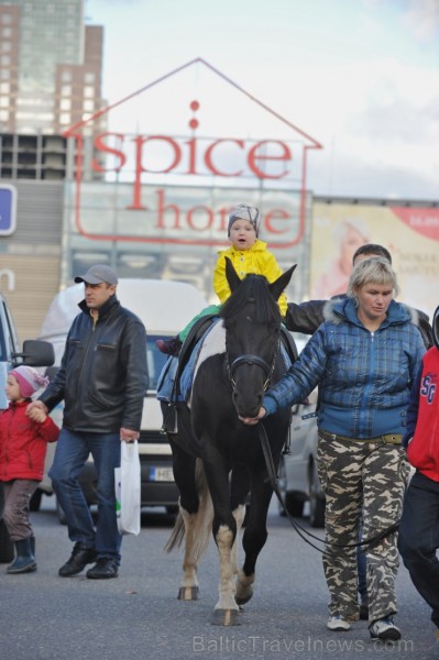 Nedēļas nogalē, 27. un 28. septembrī, Lauku labumu tirdziņā pie tirdzniecības kompleksa Spice, norisinājās Lielāko dārza velšu parāde, kurā apmeklētāj Nedēļas nogalē, 27. un 28. septembrī, Lauku labumu tirdziņā pie tirdzniecības kompleksa Spice, norisinājās Lielāko dārza velšu parāde, kurā apmeklētāj 107051