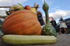Nedēļas nogalē, 27. un 28. septembrī, Lauku labumu tirdziņā pie tirdzniecības kompleksa Spice, norisinājās Lielāko dārza velšu parāde, kurā apmeklētāj 1