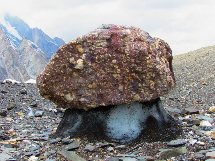 Viena no daudzajām Baltoro ledus-akmens sēnēm 107156