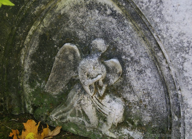 Sunākstes vecie kapi glabā daudzus dzīvesstāstus, tai skaitā Vārnavas muižas īpašnieka meitas un Vecā Stendera 107186