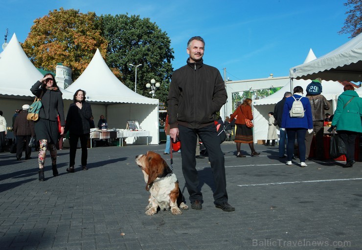 Jūrmalā sestdien, 05.10.2013, ar plašu kultūras pasākumu programmu Majoru stāvlaukumā un Horna dārzā – koncertiem uz divām skatuvēm un bagātīgu rudens 107237