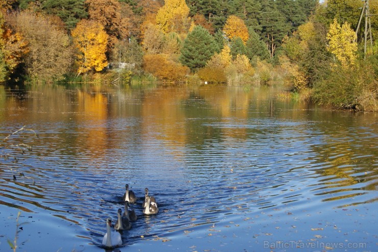 Rudens burvība ir pārņēmusi Sēliju. Travelnews.lv redakcija apmeklē Neretu, novadu pašā Latvijas - Lietuvas pierobežā Rudens burvība ir pārņēmusi Sēliju. Travelnews.lv redakcija apmeklē Neretu, novadu pašā Latvijas - Lietuvas pierobežā 107452