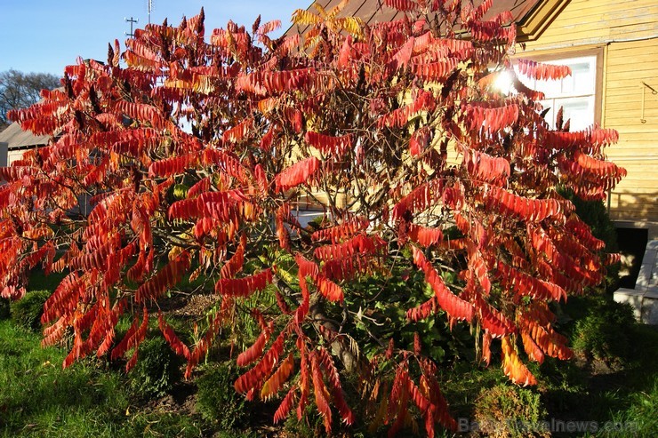 Rudens burvība ir pārņēmusi Sēliju. Travelnews.lv redakcija apmeklē Neretu, novadu pašā Latvijas - Lietuvas pierobežā Rudens burvība ir pārņēmusi Sēliju. Travelnews.lv redakcija apmeklē Neretu, novadu pašā Latvijas - Lietuvas pierobežā 107468