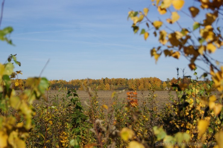 Rudens burvība ir pārņēmusi Sēliju. Travelnews.lv redakcija apmeklē Neretu, novadu pašā Latvijas - Lietuvas pierobežā Rudens burvība ir pārņēmusi Sēliju. Travelnews.lv redakcija apmeklē Neretu, novadu pašā Latvijas - Lietuvas pierobežā 107478