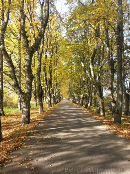 Ventspils TIC iesaka doties Zelta rudens ekskursijā par Ventspils novadu. Maršruts: Ventspils- Vārve- Zūras- Vendzavas- Zlēkas- Piltene- Landze- Vents 107583