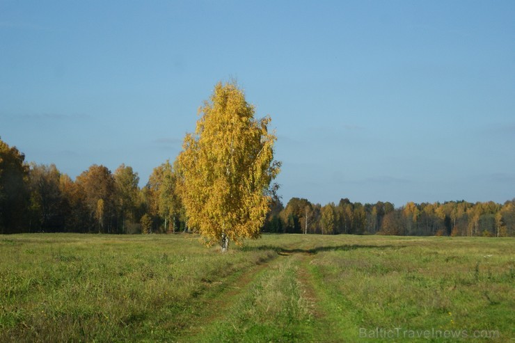 Kankaļu Svētā Jāņa Kristītāja Romas katoļu baznīca ir  Eiropas nozīmes koka arhitektūras piemineklis. Tā atrodas Neretas novada Mazzalves pagastā 107737